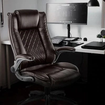 Ergonomic_Executive_Chair_6_400x_219ae449-5da9-4d58-8ace-5e6f8d30c544.jpg